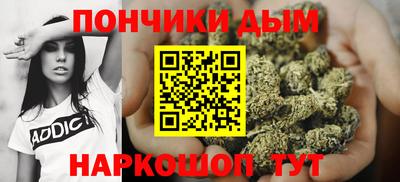 PSILOCYBIN Камышлов