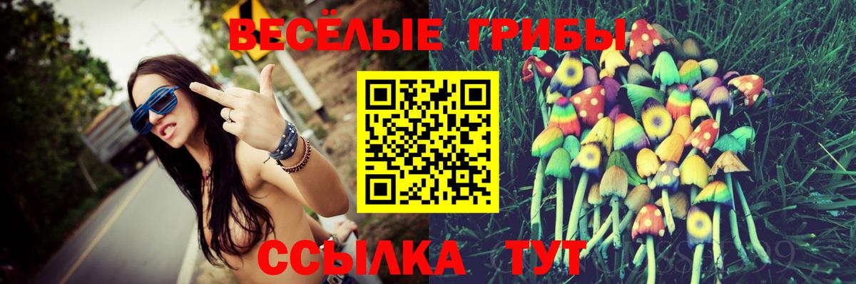 Псилоцибиновые грибы Cubensis Ишимбай