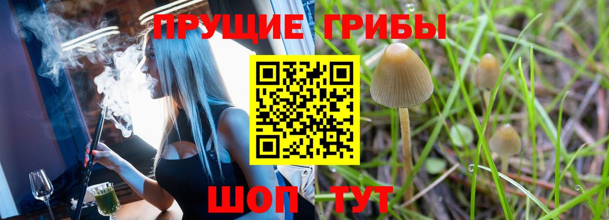 Ишимбай  Псилоцибиновые грибы Psilocybe  цена наркотик  Вход с VPN 